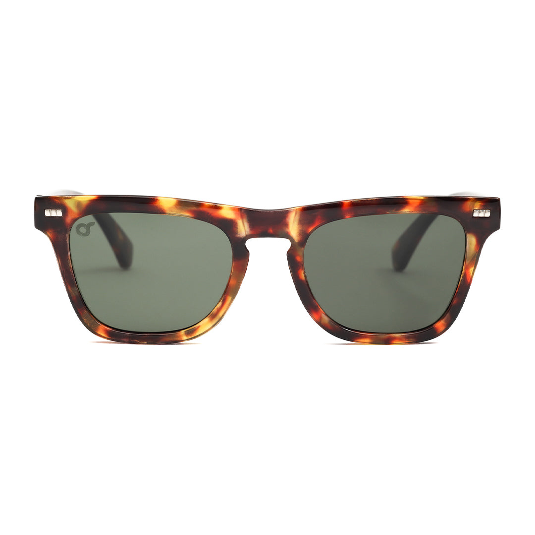 New York Tortoiseshell