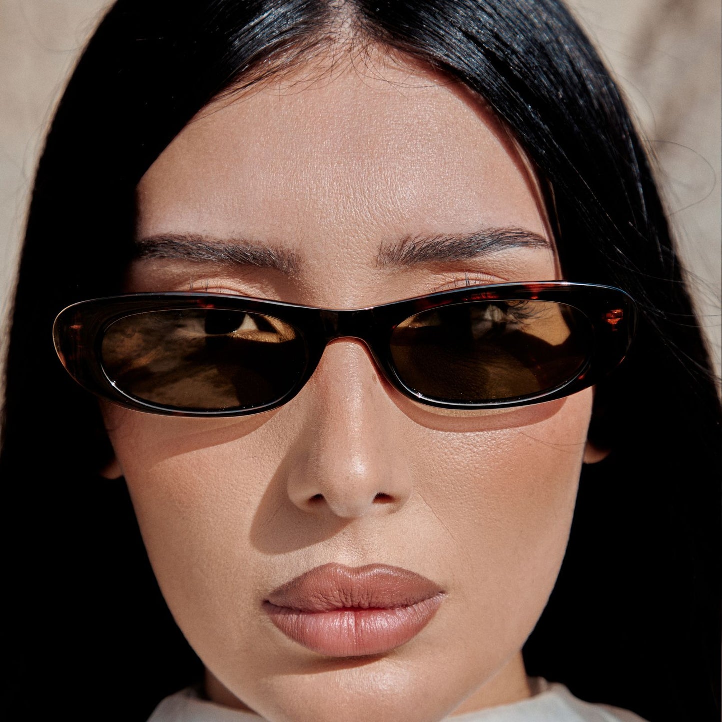 Delhi Tartarugato Petrolio