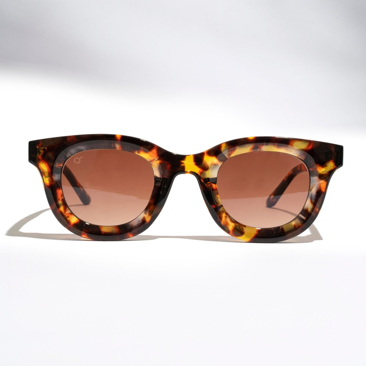 Malibu Tortoiseshell